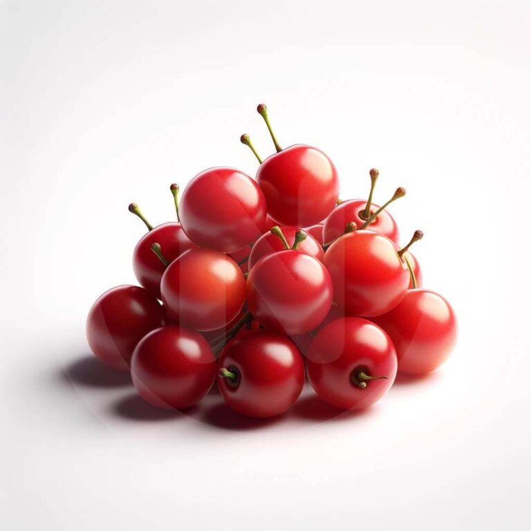 foodblog recipe app aratiles