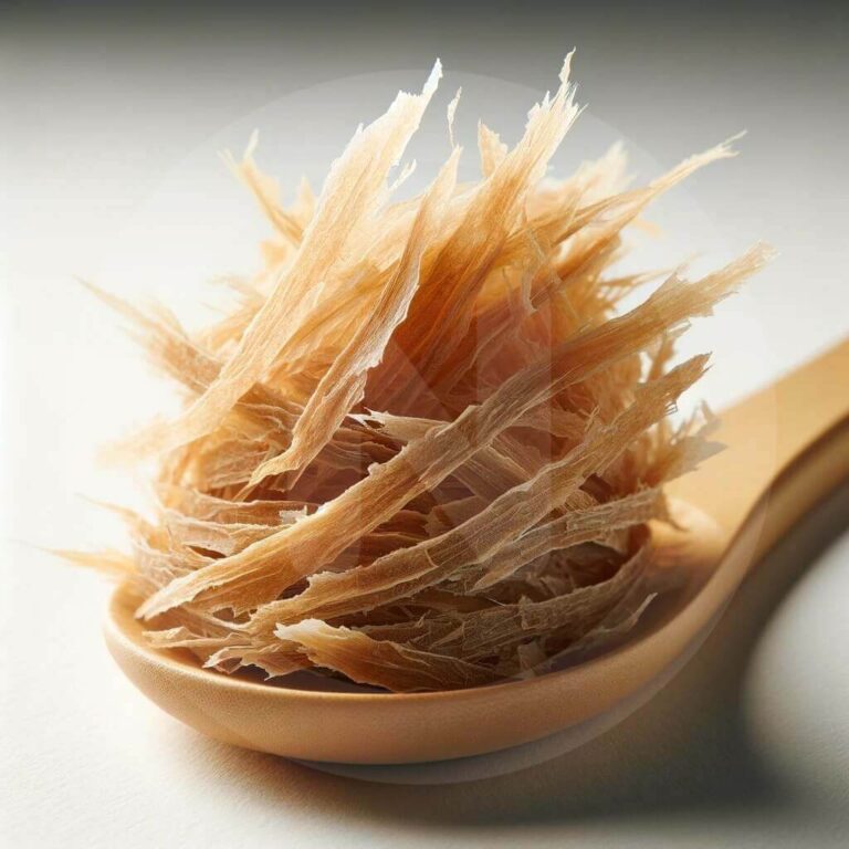 foodblog recipe app katsobushi